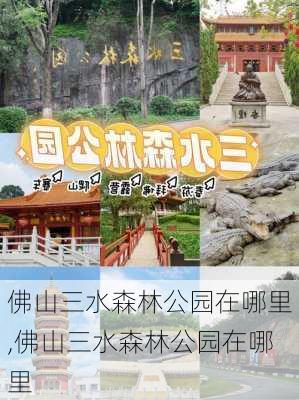 佛山三水森林公园在哪里,佛山三水森林公园在哪里