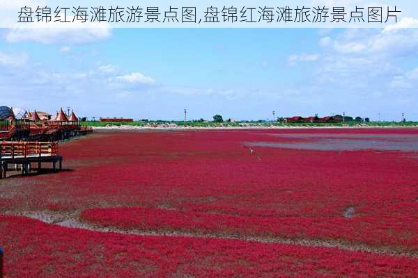 盘锦红海滩旅游景点图,盘锦红海滩旅游景点图片