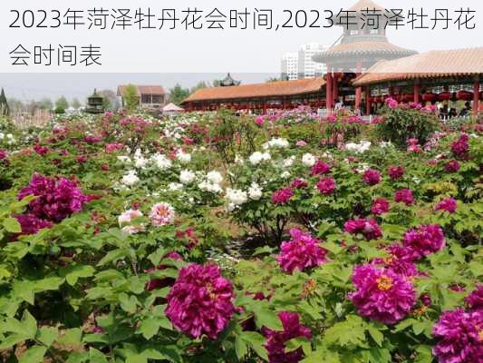 2023年菏泽牡丹花会时间,2023年菏泽牡丹花会时间表