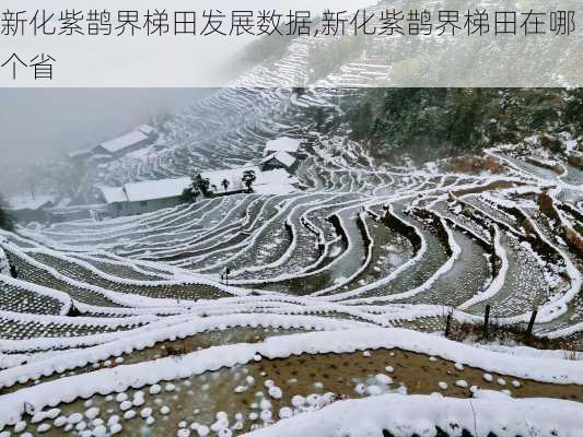 新化紫鹊界梯田发展数据,新化紫鹊界梯田在哪个省