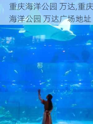 重庆海洋公园 万达,重庆海洋公园 万达广场地址