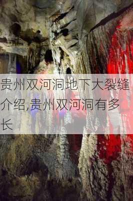 贵州双河洞地下大裂缝介绍,贵州双河洞有多长