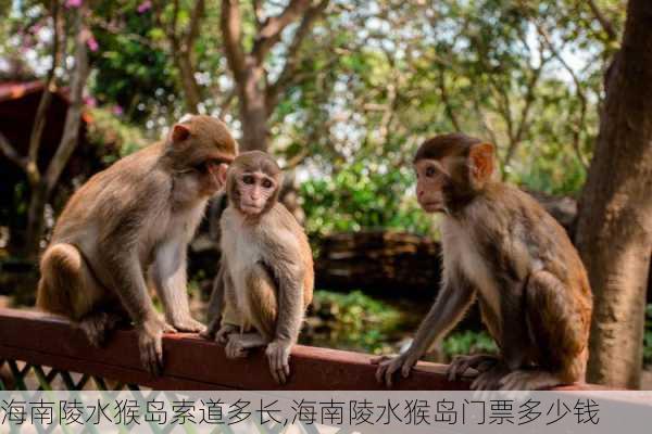 海南陵水猴岛索道多长,海南陵水猴岛门票多少钱