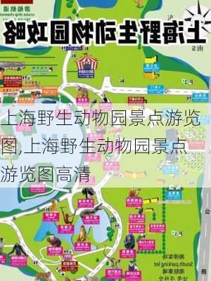 上海野生动物园景点游览图,上海野生动物园景点游览图高清