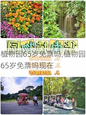 植物园65岁免票吗,植物园65岁免票吗现在