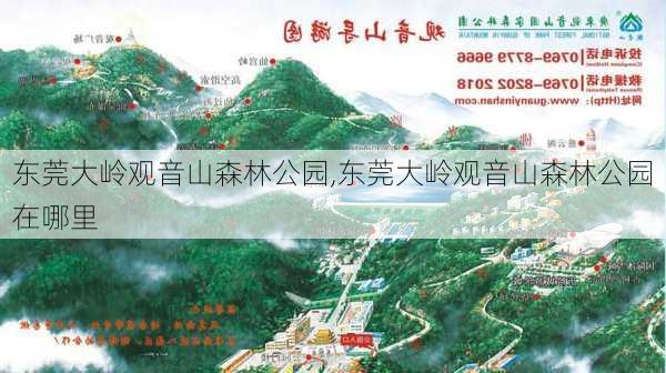 东莞大岭观音山森林公园,东莞大岭观音山森林公园在哪里