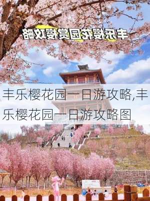 丰乐樱花园一日游攻略,丰乐樱花园一日游攻略图