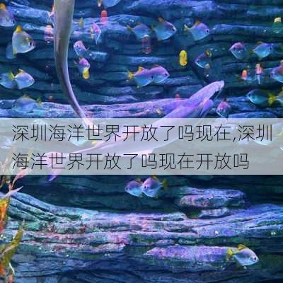 深圳海洋世界开放了吗现在,深圳海洋世界开放了吗现在开放吗