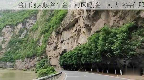 金口河大峡谷在金口河区吗,金口河大峡谷在那