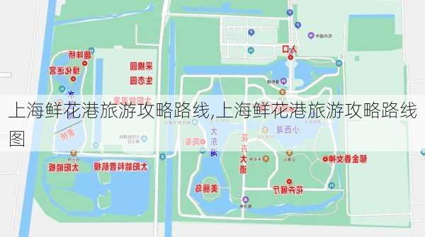 上海鲜花港旅游攻略路线,上海鲜花港旅游攻略路线图