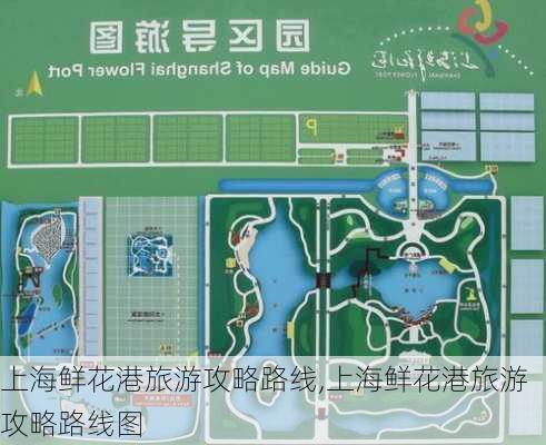上海鲜花港旅游攻略路线,上海鲜花港旅游攻略路线图