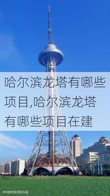 哈尔滨龙塔有哪些项目,哈尔滨龙塔有哪些项目在建