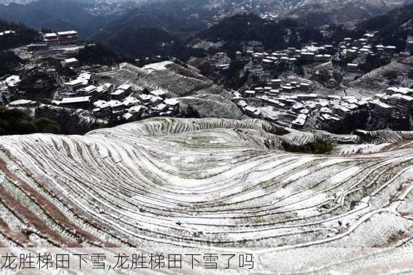 龙胜梯田下雪,龙胜梯田下雪了吗