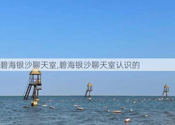 碧海银沙聊天室,碧海银沙聊天室认识的