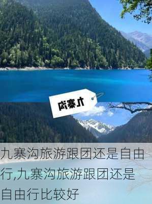 九寨沟旅游跟团还是自由行,九寨沟旅游跟团还是自由行比较好