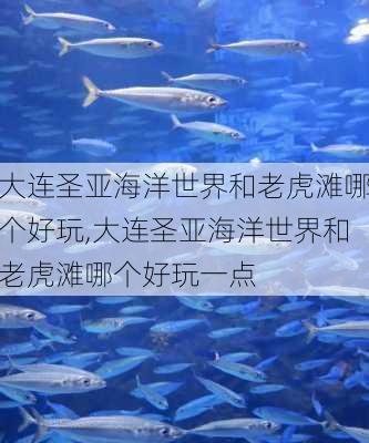 大连圣亚海洋世界和老虎滩哪个好玩,大连圣亚海洋世界和老虎滩哪个好玩一点