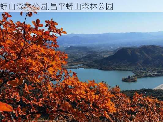 蟒山森林公园,昌平蟒山森林公园