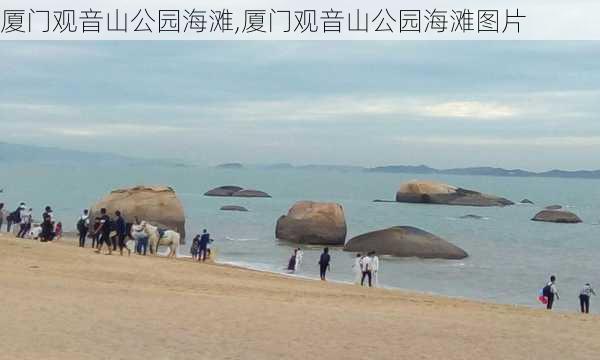 厦门观音山公园海滩,厦门观音山公园海滩图片