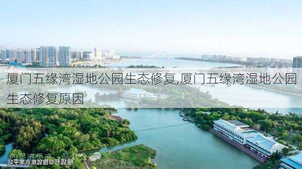 厦门五缘湾湿地公园生态修复,厦门五缘湾湿地公园生态修复原因