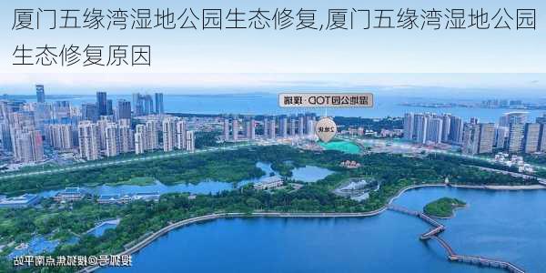 厦门五缘湾湿地公园生态修复,厦门五缘湾湿地公园生态修复原因