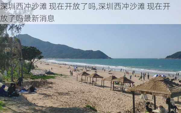 深圳西冲沙滩 现在开放了吗,深圳西冲沙滩 现在开放了吗最新消息