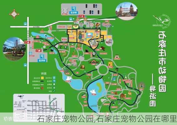 石家庄宠物公园,石家庄宠物公园在哪里