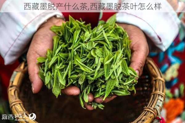 西藏墨脱产什么茶,西藏墨脱茶叶怎么样