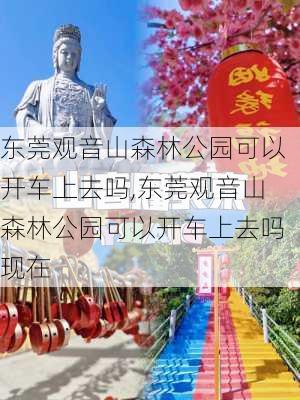 东莞观音山森林公园可以开车上去吗,东莞观音山森林公园可以开车上去吗现在