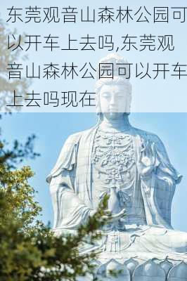 东莞观音山森林公园可以开车上去吗,东莞观音山森林公园可以开车上去吗现在